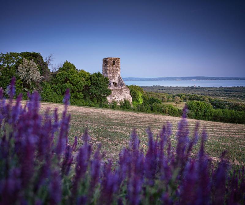balatoncsicso